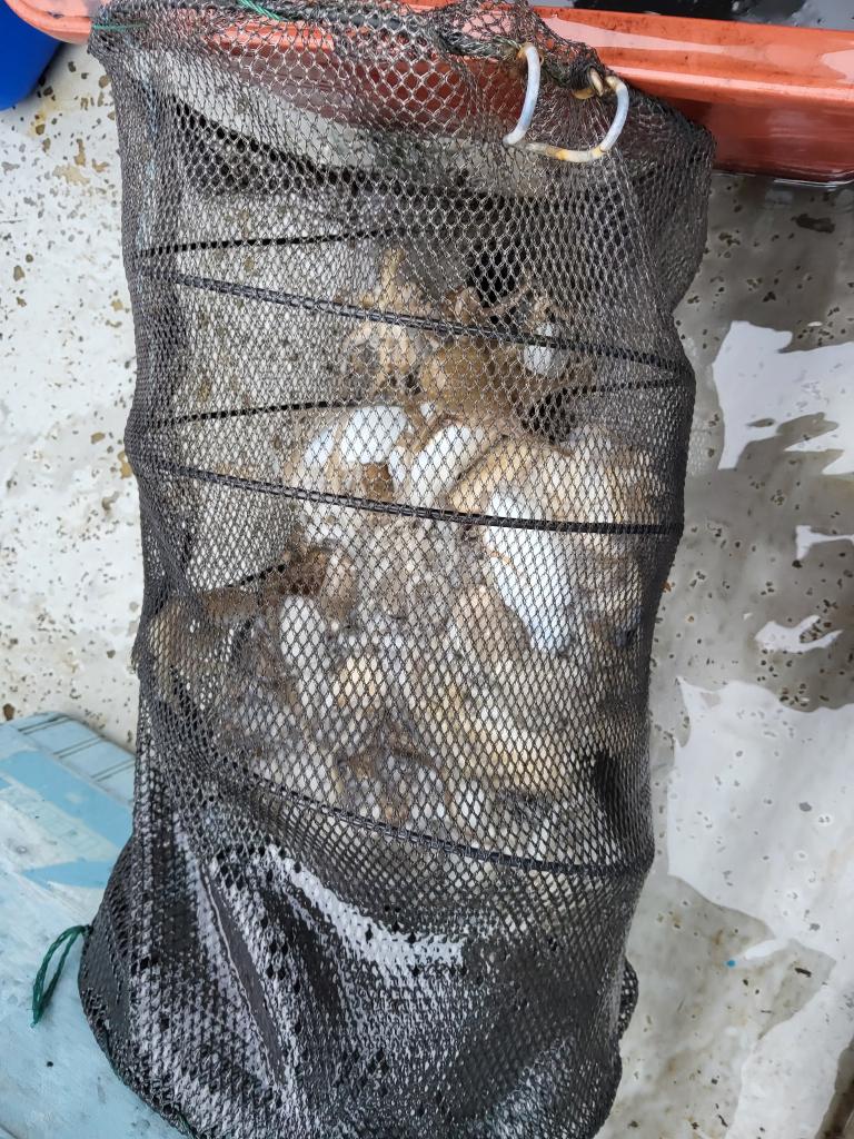 낚시뚜,쭈꾸미,오천항,푸르러호(뉴해양호),낚시뚜2