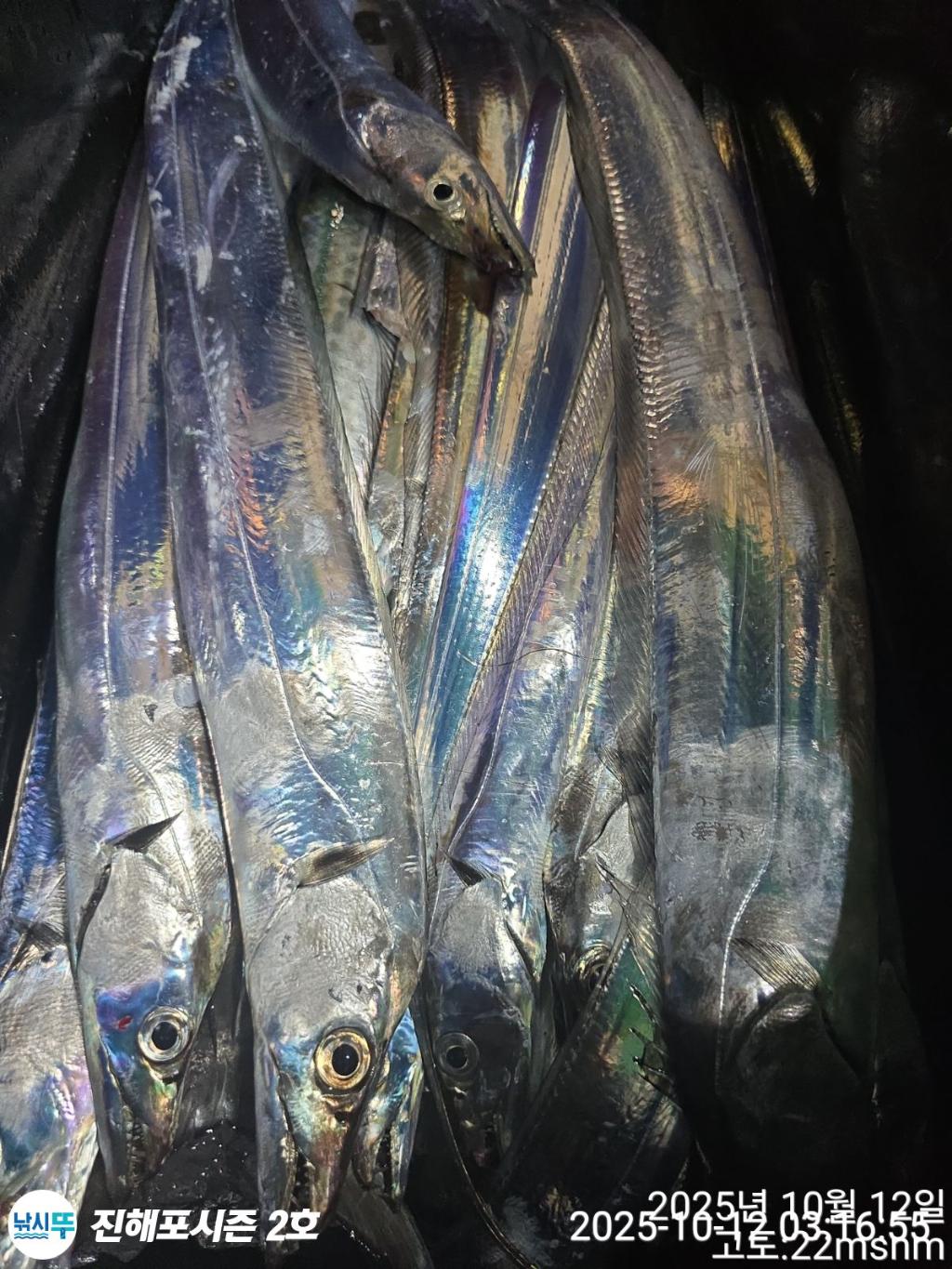 낚시뚜,갈치,진해행암항,진해포시즌 2호,낚시뚜9