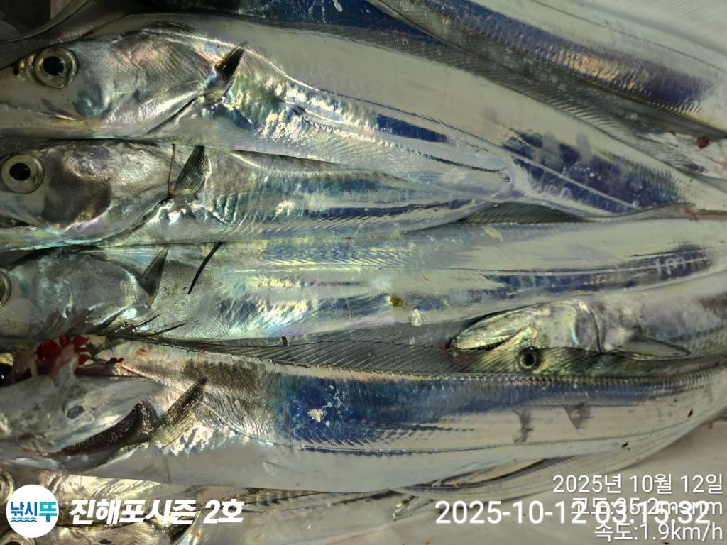 낚시뚜,갈치,진해행암항,진해포시즌 2호,낚시뚜2