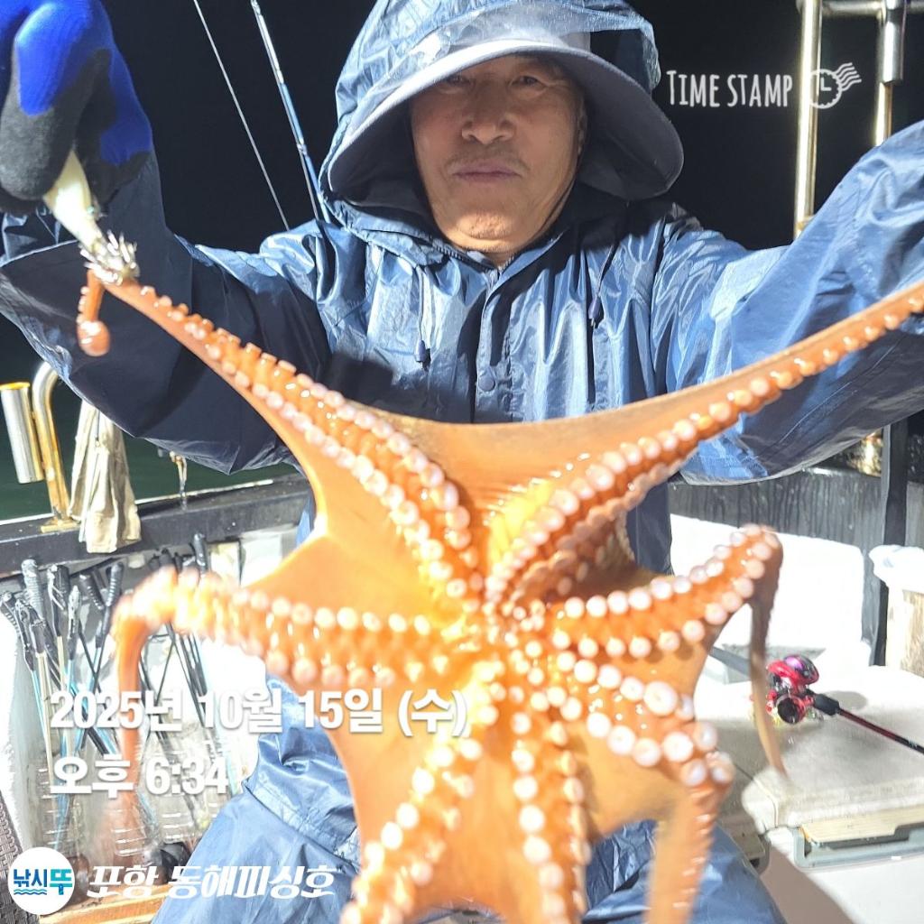 낚시뚜,돌문어,포항(운하관),포항 동해피싱호,낚시뚜6