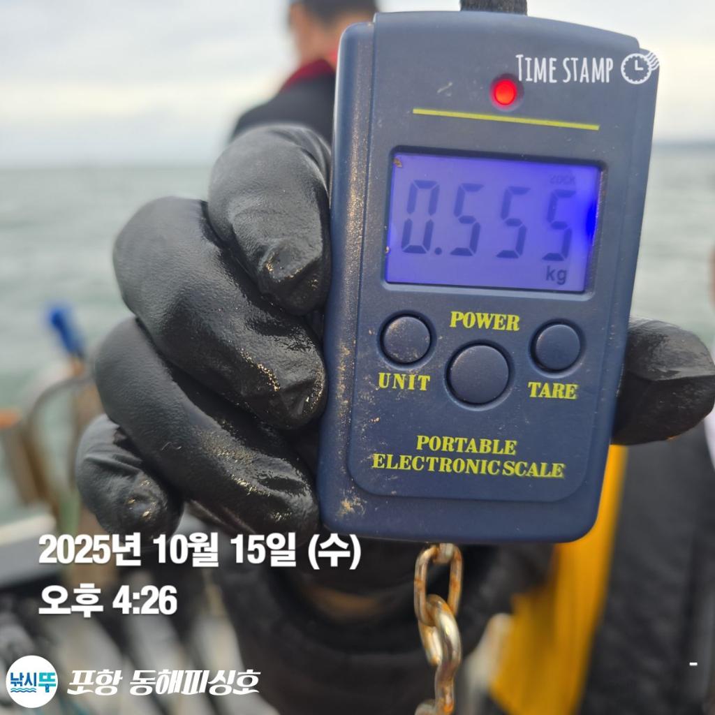 낚시뚜,돌문어,포항(운하관),포항 동해피싱호,낚시뚜5