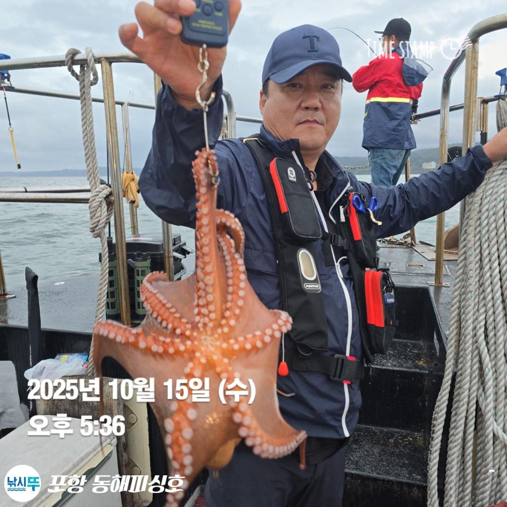 낚시뚜,돌문어,포항(운하관),포항 동해피싱호,낚시뚜2