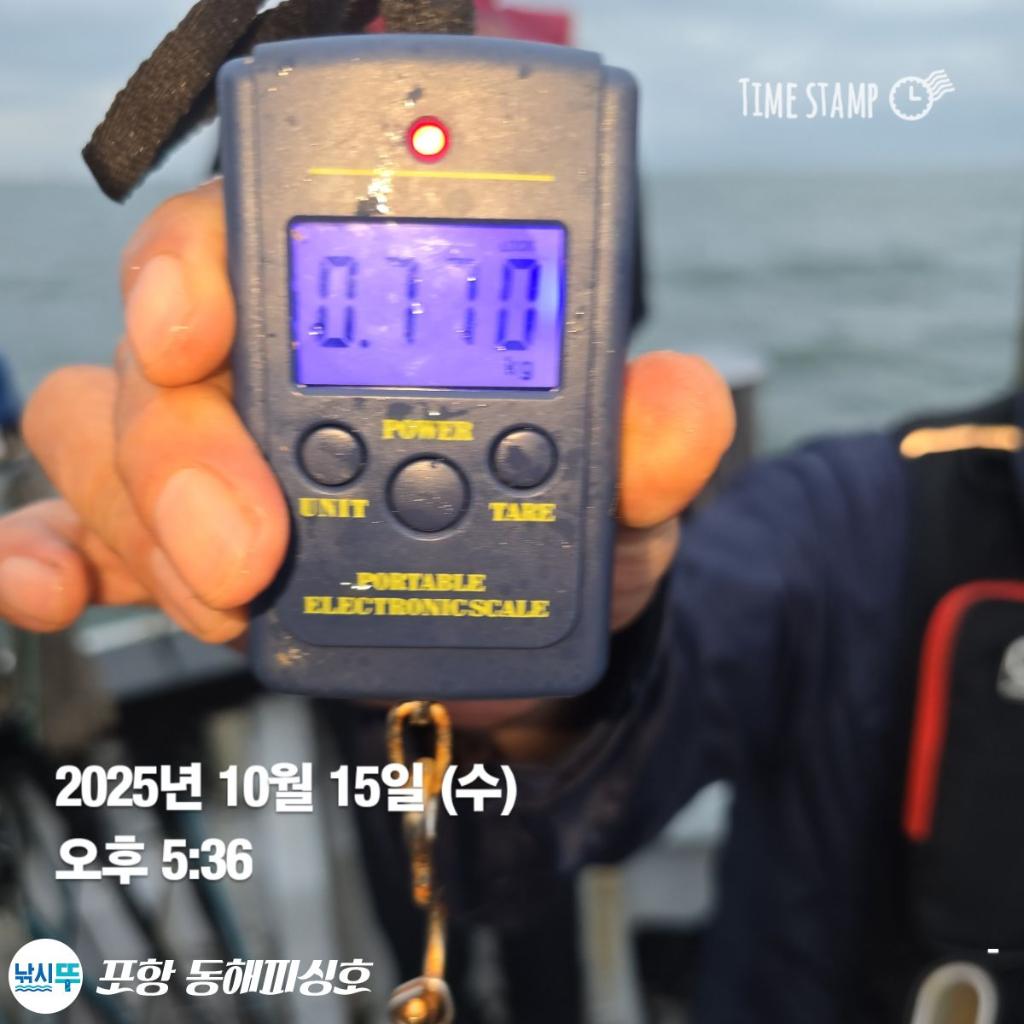 낚시뚜,돌문어,포항(운하관),포항 동해피싱호,낚시뚜1