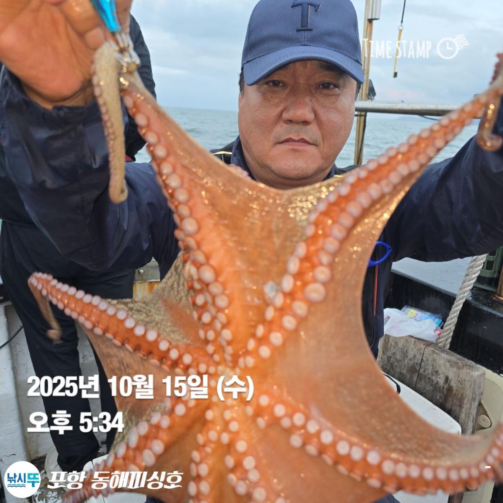 낚시뚜,돌문어,포항(운하관),포항 동해피싱호,낚시뚜0