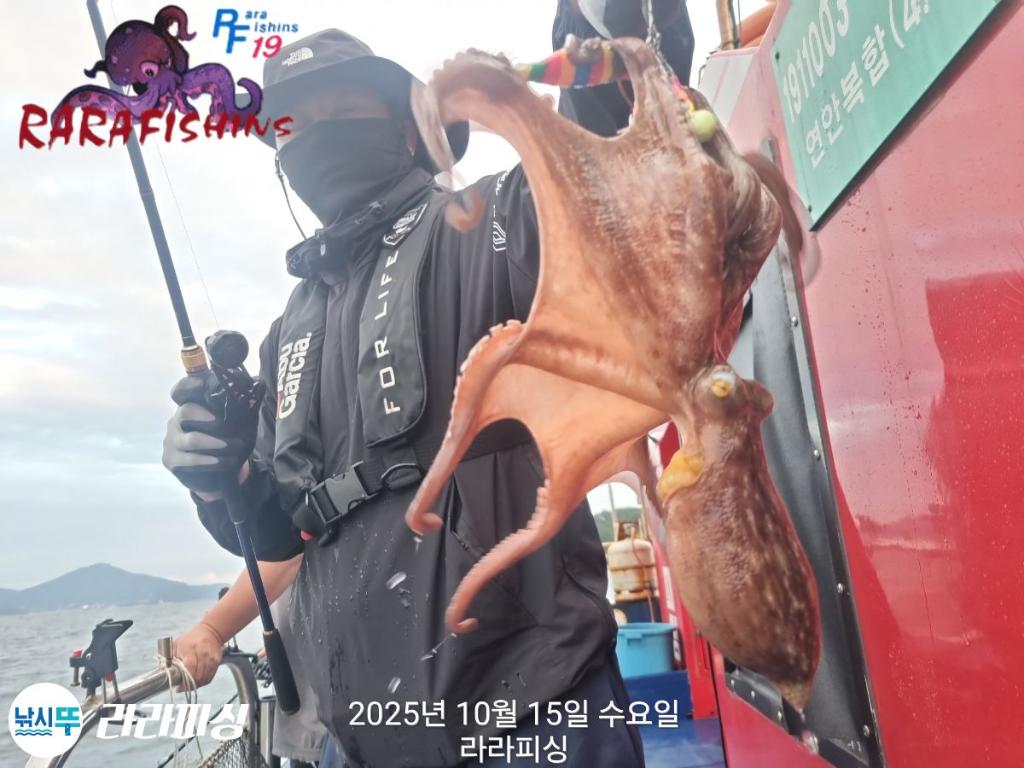 낚시뚜,돌문어,속천항(진해),라라피싱,낚시뚜8