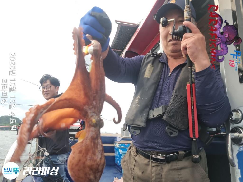 낚시뚜,돌문어,속천항(진해),라라피싱,낚시뚜7