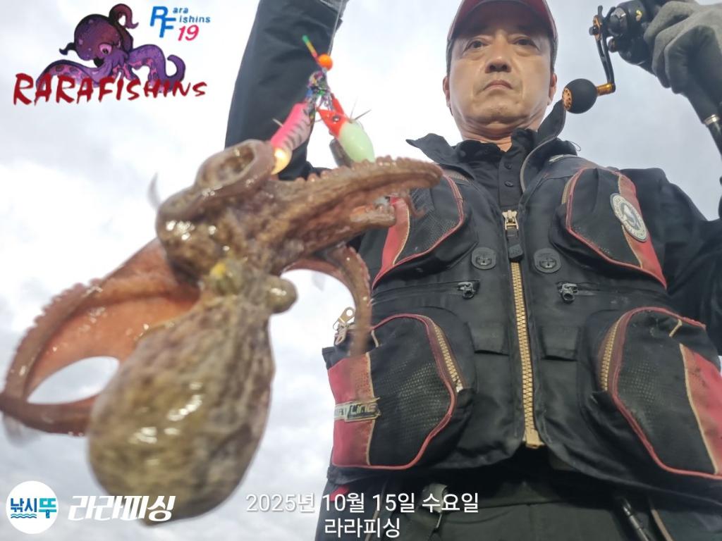 낚시뚜,돌문어,속천항(진해),라라피싱,낚시뚜5