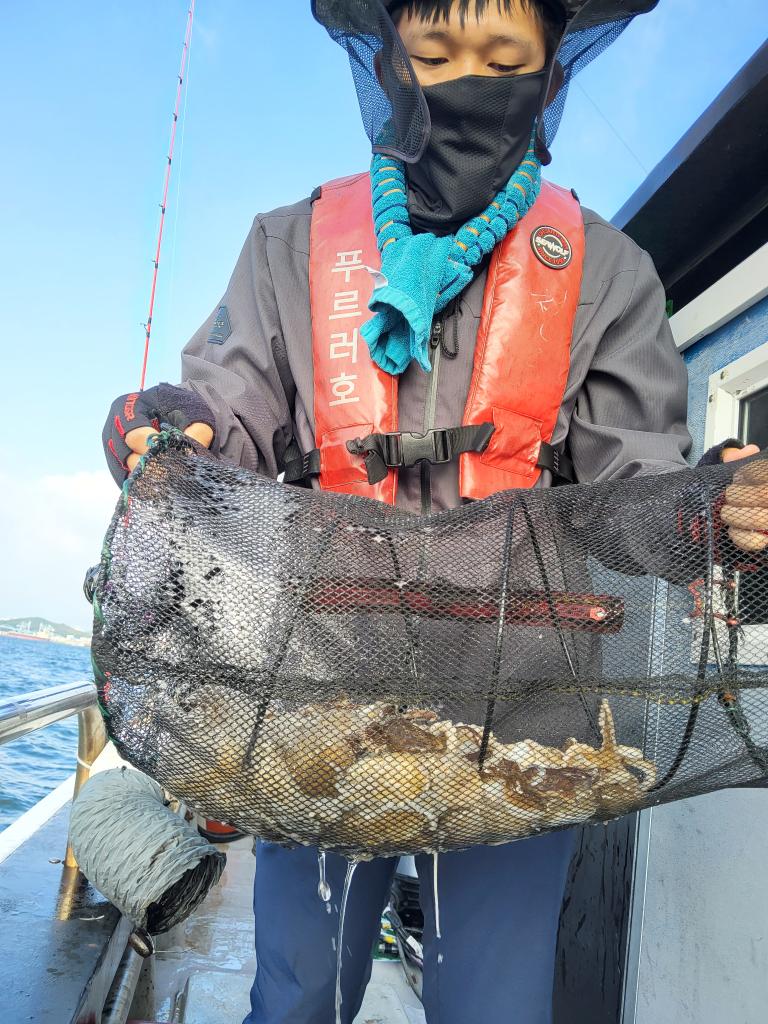 낚시뚜,쭈꾸미,오천항,푸르러호(뉴해양호),낚시뚜4