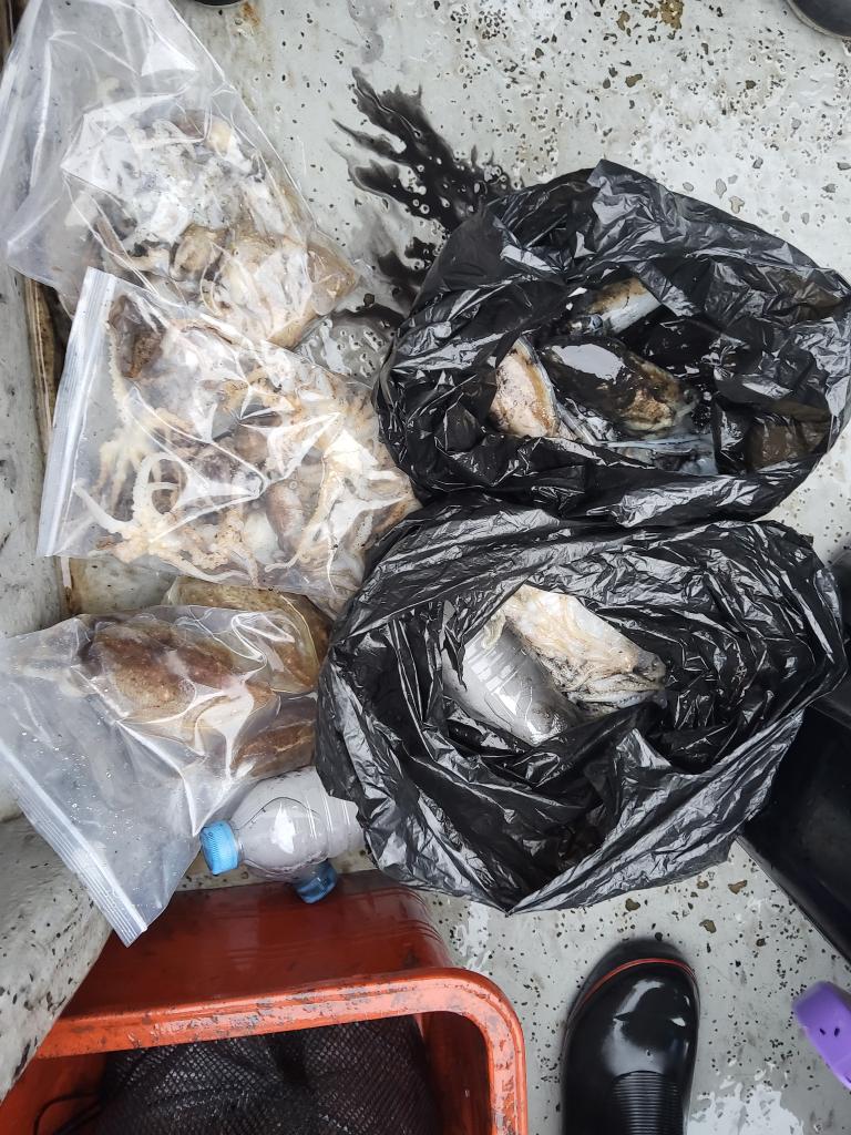 낚시뚜,쭈꾸미,오천항,푸르러호(뉴해양호),낚시뚜4