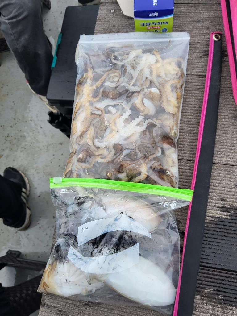 낚시뚜,쭈꾸미,오천항,푸르러호(뉴해양호),낚시뚜5