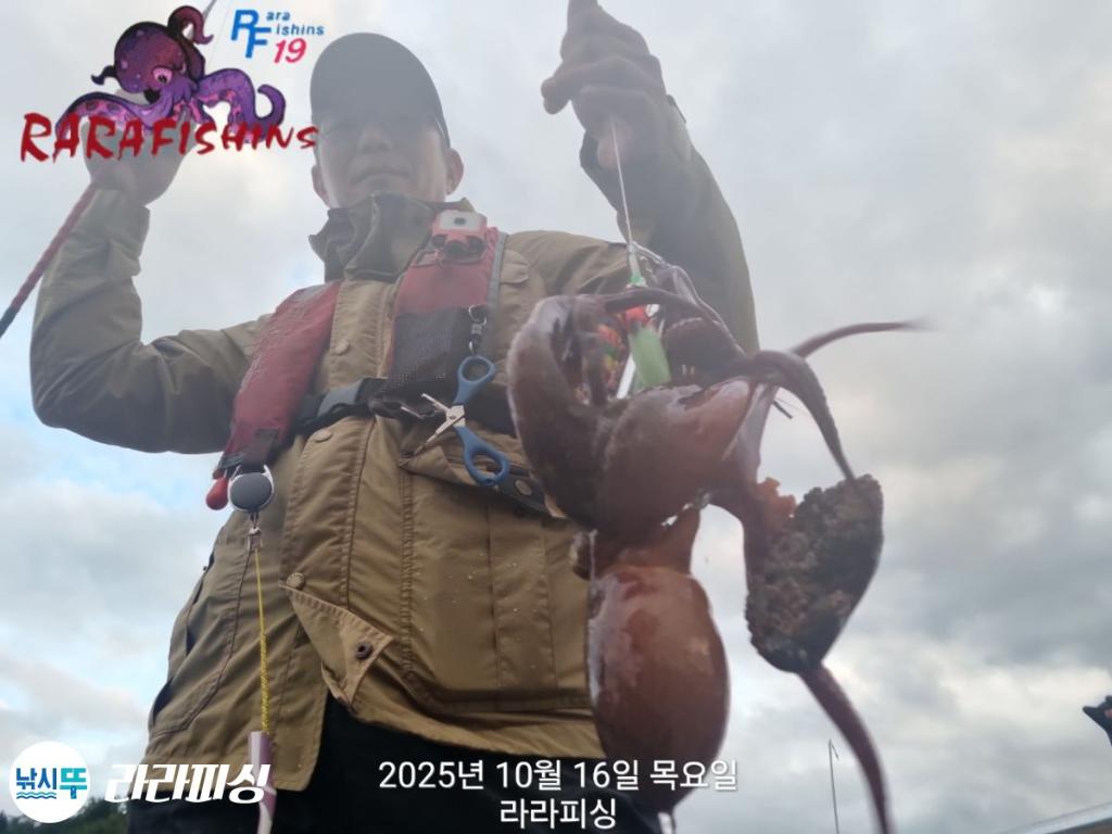 낚시뚜,돌문어,속천항(진해),라라피싱,낚시뚜4