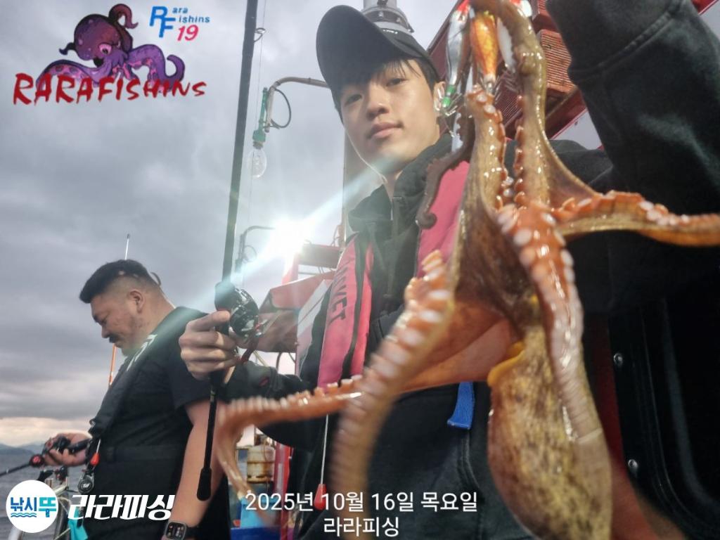 낚시뚜,돌문어,속천항(진해),라라피싱,낚시뚜3