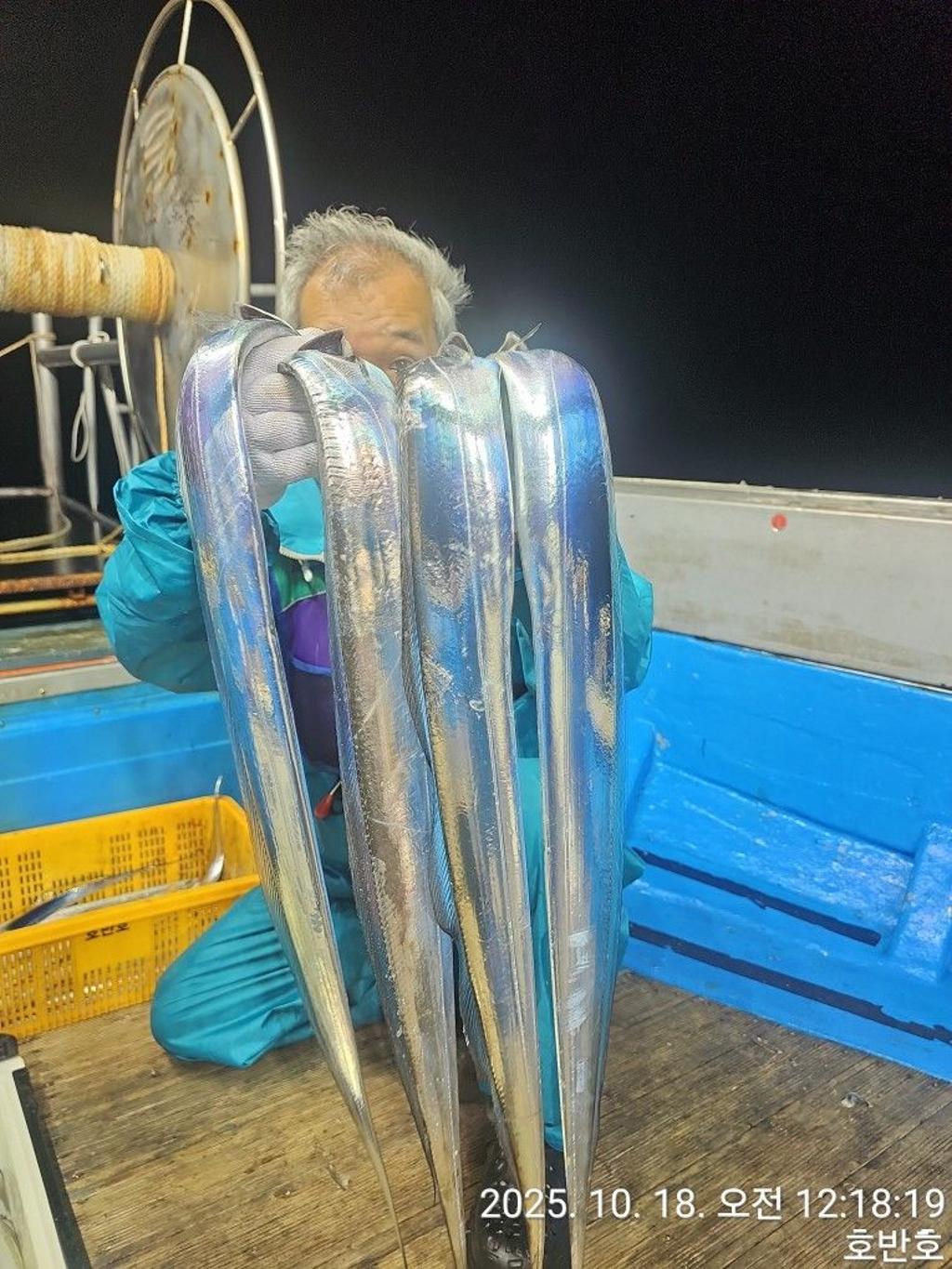 낚시뚜,갈치,통영 신전항,통영호반호,낚시뚜21