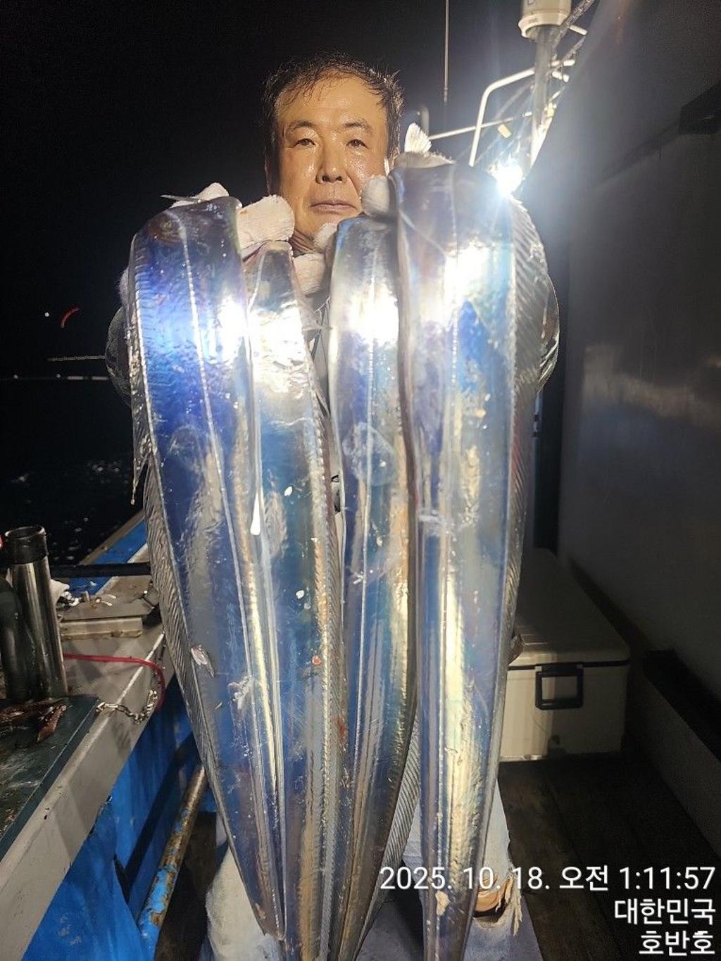 낚시뚜,갈치,통영 신전항,통영호반호,낚시뚜6