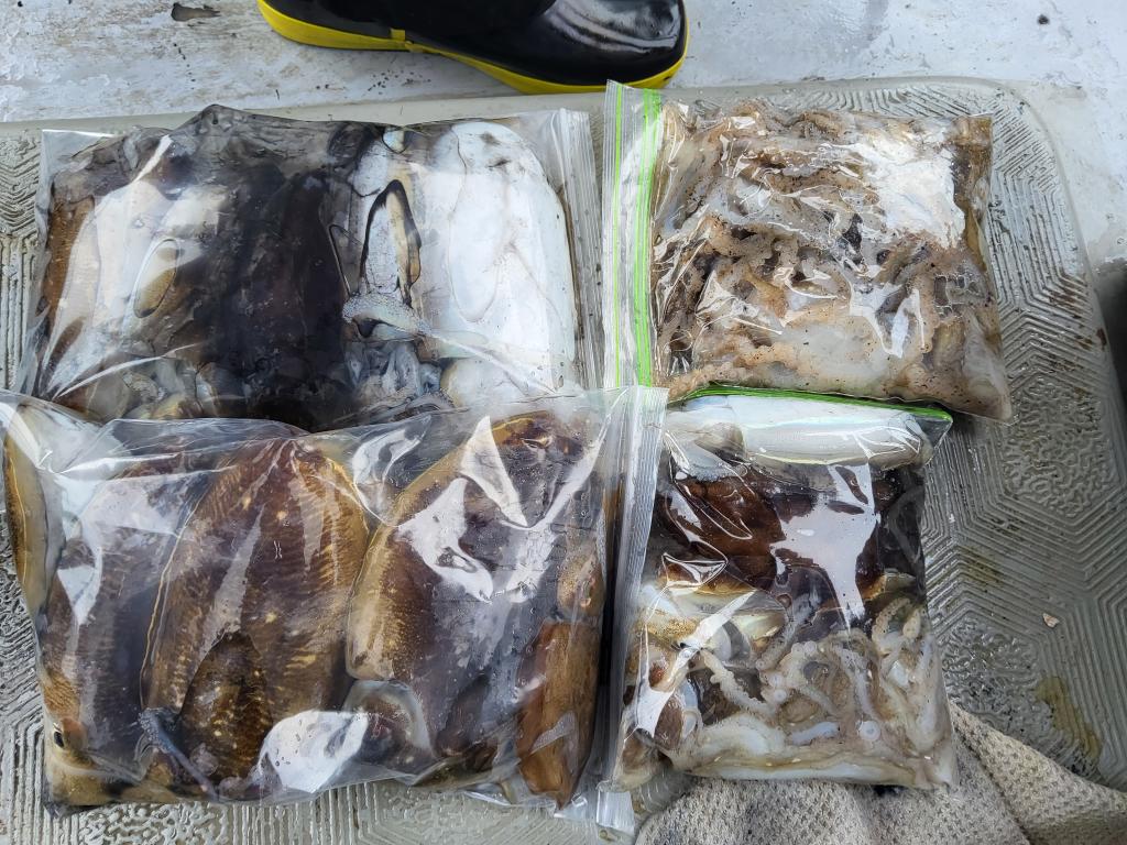 낚시뚜,쭈꾸미,오천항,푸르러호(뉴해양호),낚시뚜0