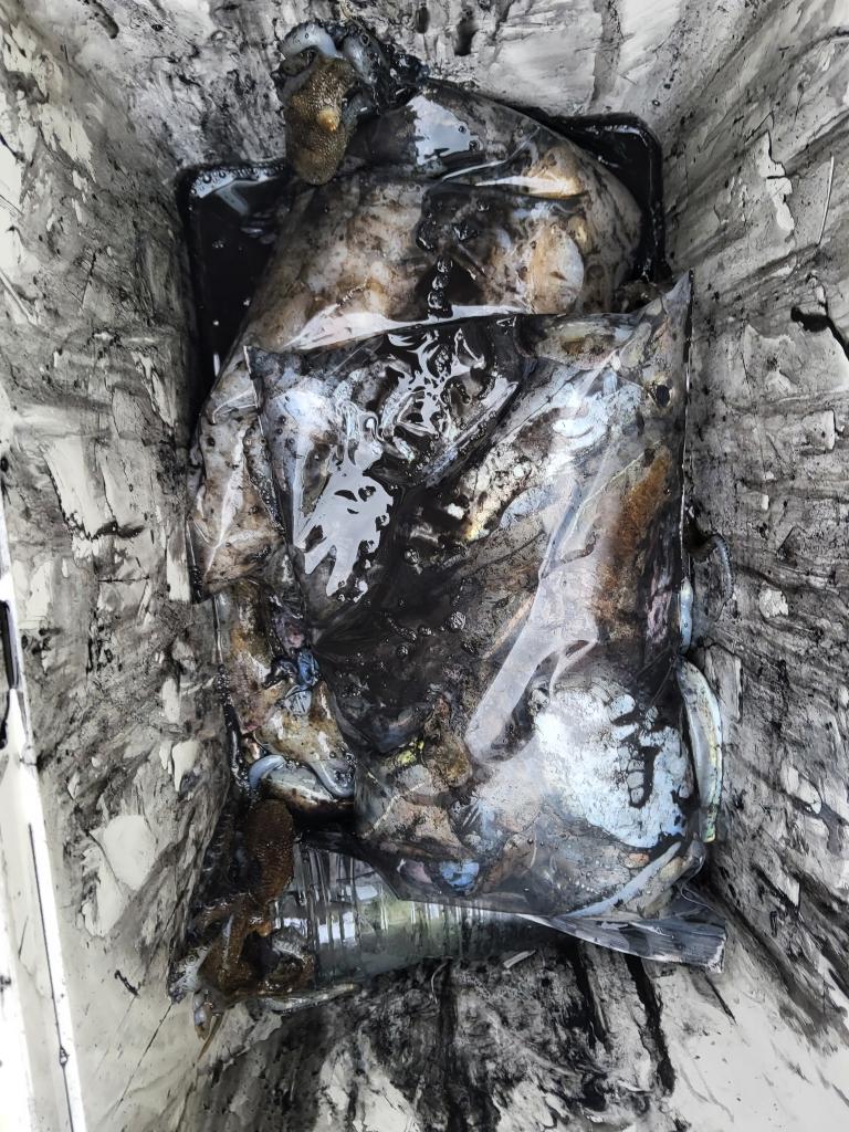 낚시뚜,쭈꾸미,오천항,푸르러호(뉴해양호),낚시뚜3