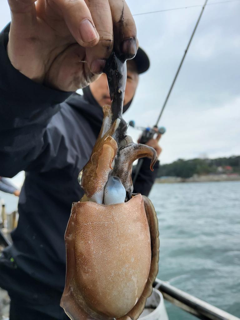 낚시뚜,쭈꾸미,오천항,푸르러호(뉴해양호),낚시뚜6