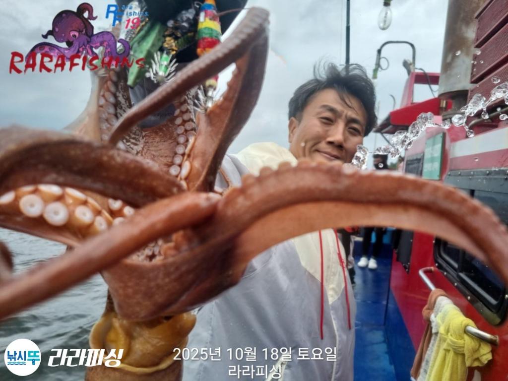 낚시뚜,돌문어,속천항(진해),라라피싱,낚시뚜12