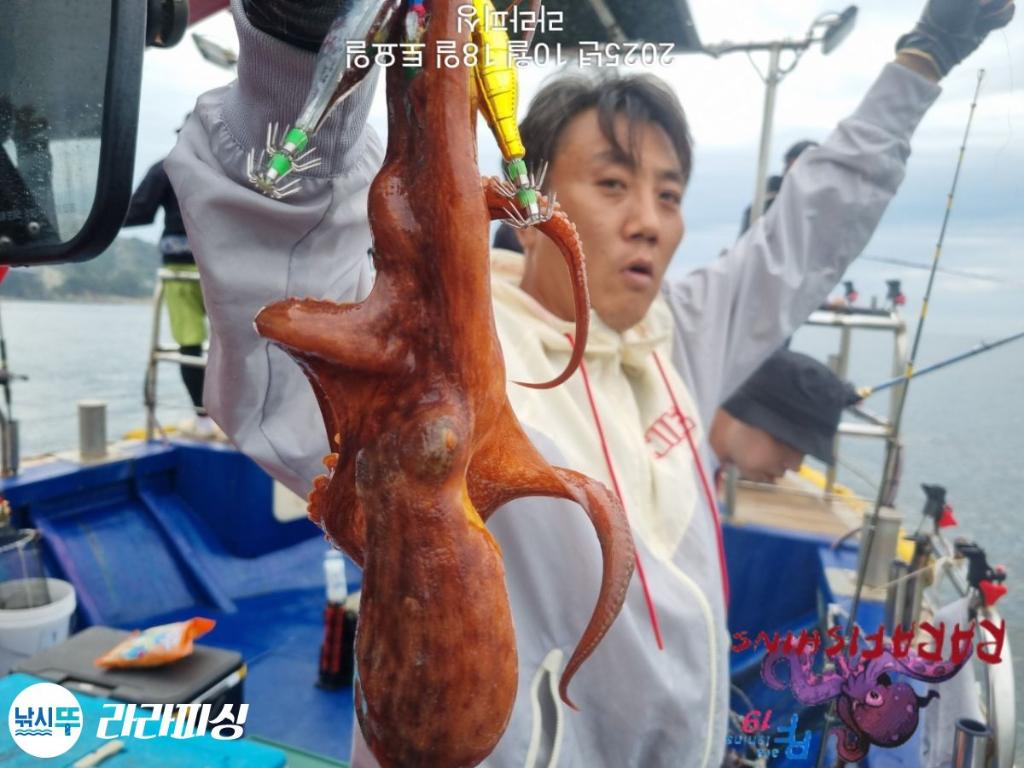 낚시뚜,돌문어,속천항(진해),라라피싱,낚시뚜8
