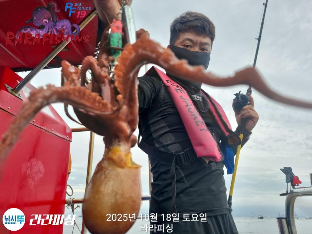 낚시뚜,돌문어,속천항(진해),라라피싱,낚시뚜6