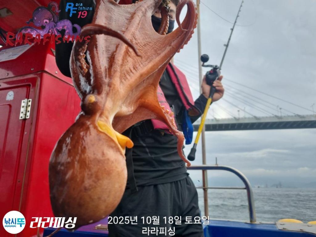낚시뚜,돌문어,속천항(진해),라라피싱,낚시뚜4
