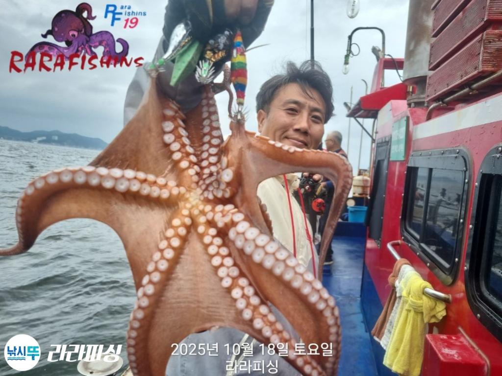 낚시뚜,돌문어,속천항(진해),라라피싱,낚시뚜2