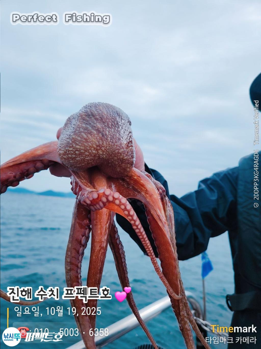 낚시뚜,돌문어,진해 수치마을 방파제,퍼펙트호,낚시뚜16