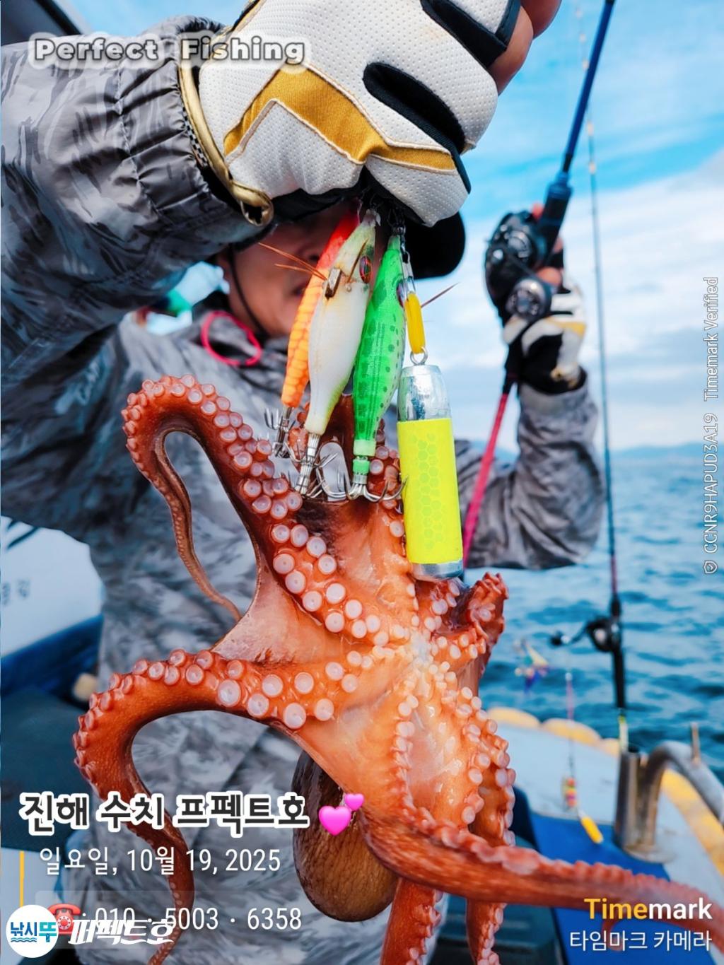 낚시뚜,돌문어,진해 수치마을 방파제,퍼펙트호,낚시뚜8