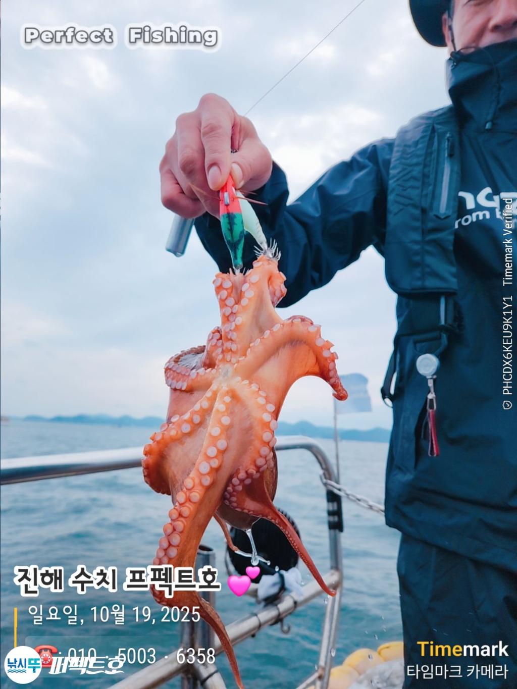 낚시뚜,돌문어,진해 수치마을 방파제,퍼펙트호,낚시뚜5