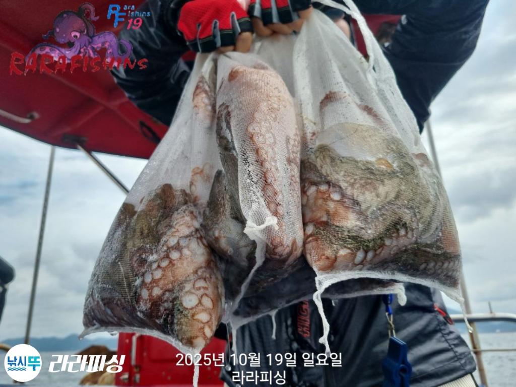 낚시뚜,돌문어,속천항(진해),라라피싱,낚시뚜27