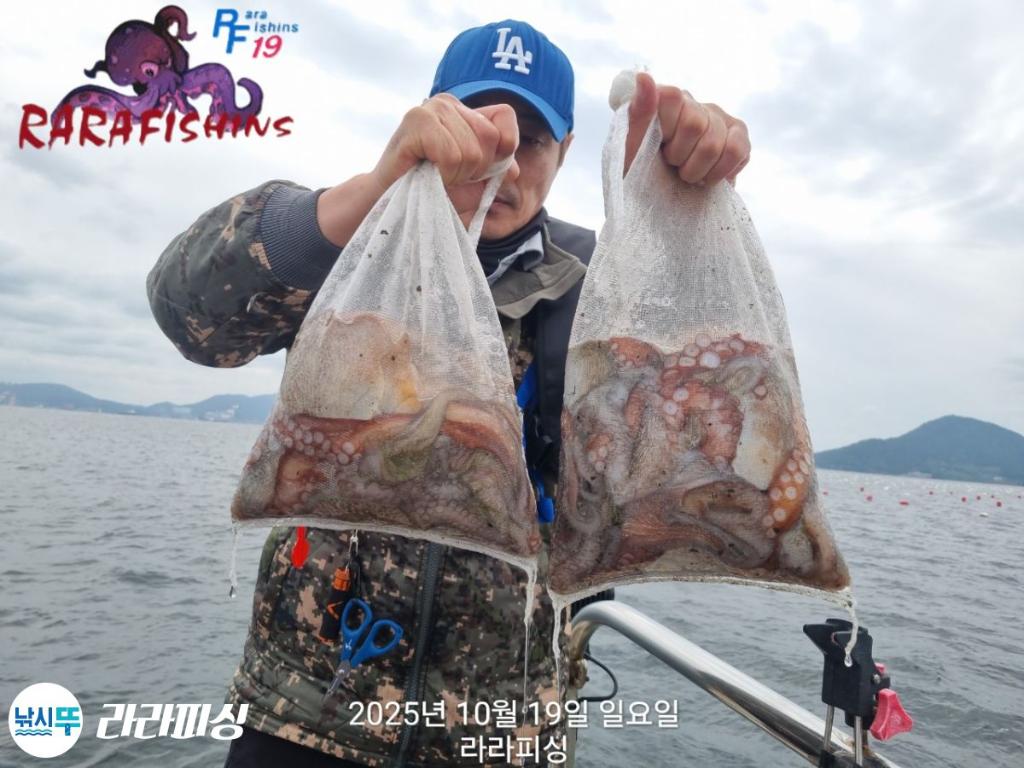 낚시뚜,돌문어,속천항(진해),라라피싱,낚시뚜25