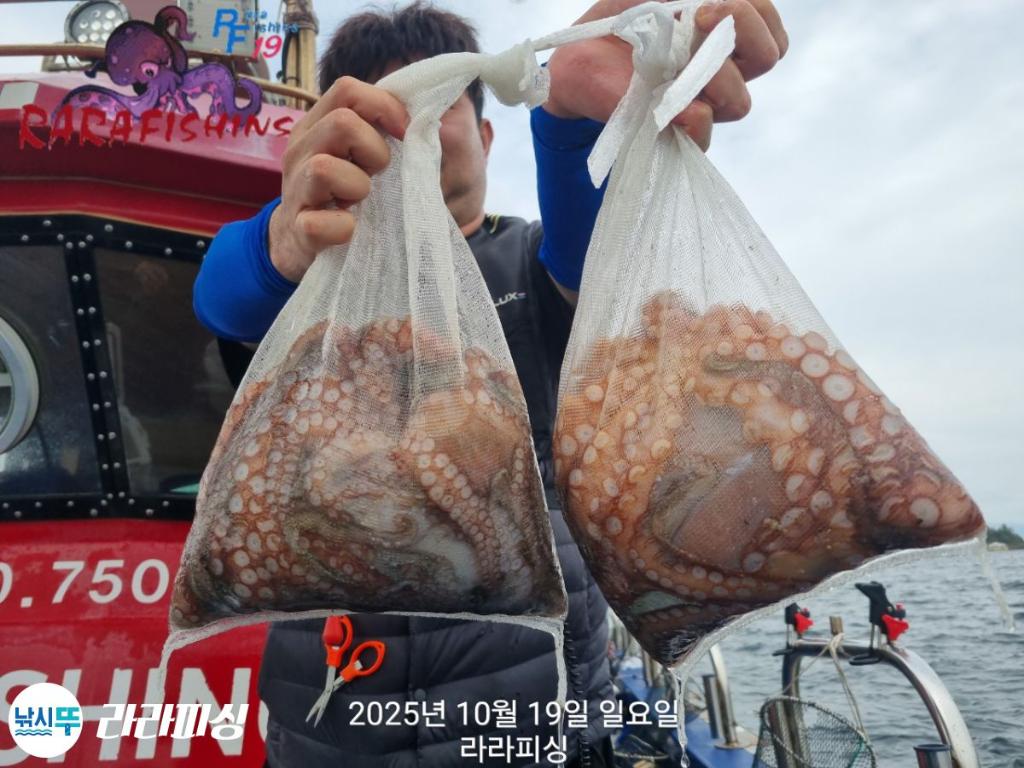 낚시뚜,돌문어,속천항(진해),라라피싱,낚시뚜24