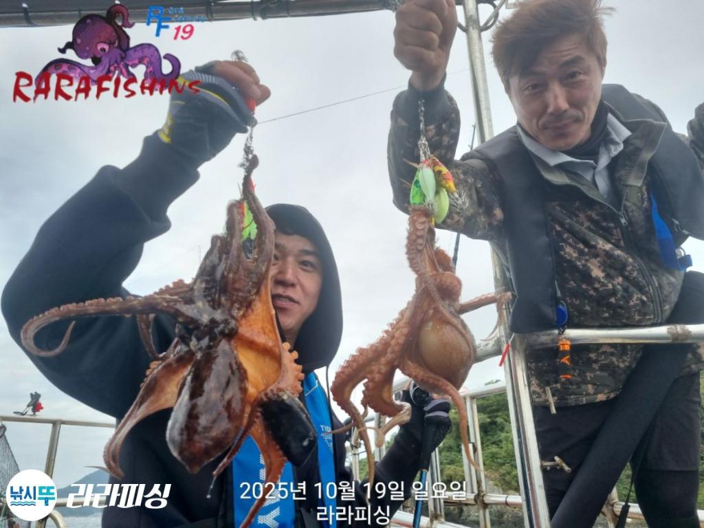 낚시뚜,돌문어,속천항(진해),라라피싱,낚시뚜21
