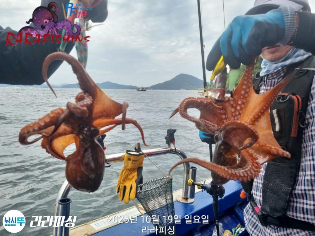 낚시뚜,돌문어,속천항(진해),라라피싱,낚시뚜20