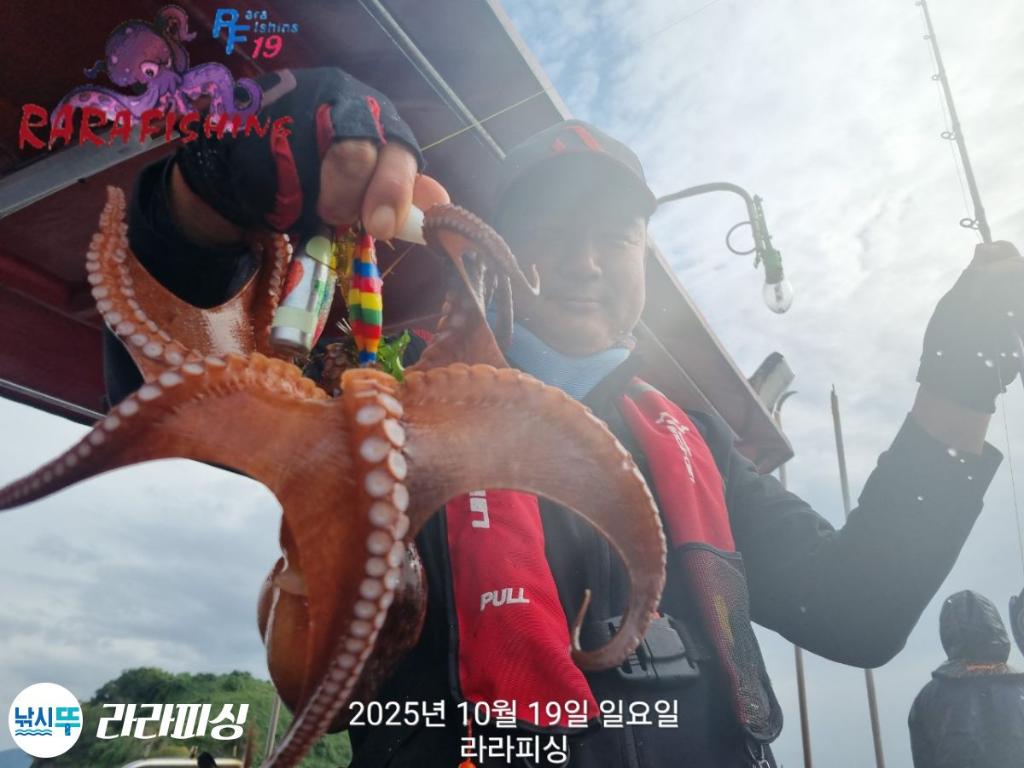 낚시뚜,돌문어,속천항(진해),라라피싱,낚시뚜19