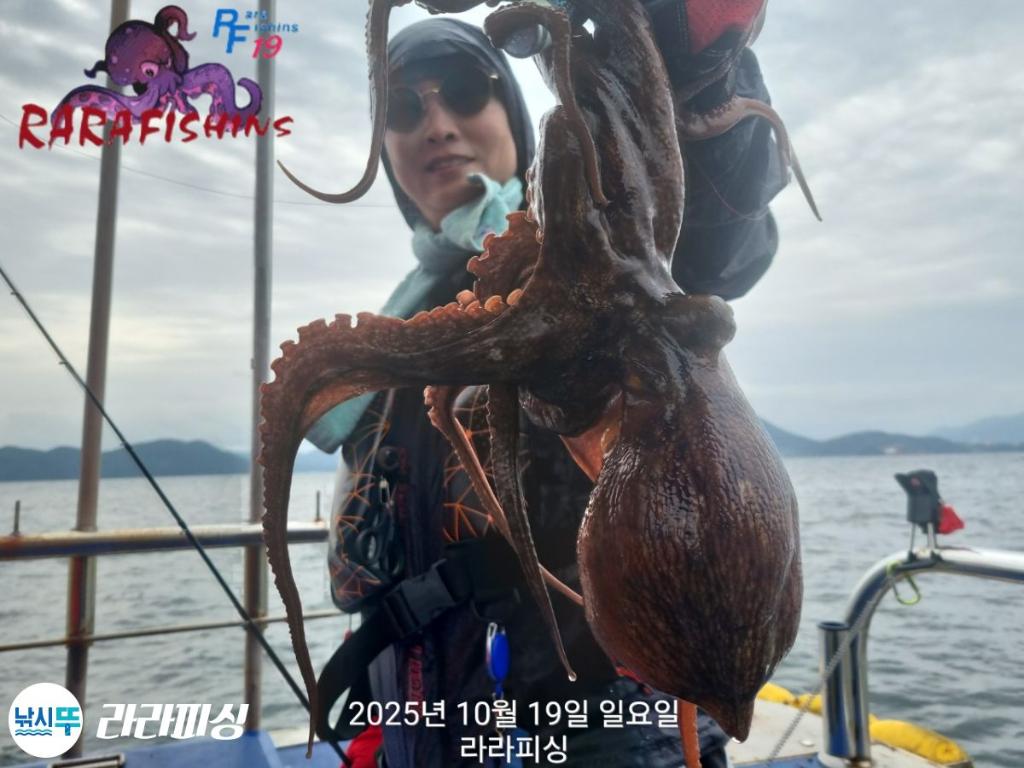 낚시뚜,돌문어,속천항(진해),라라피싱,낚시뚜17