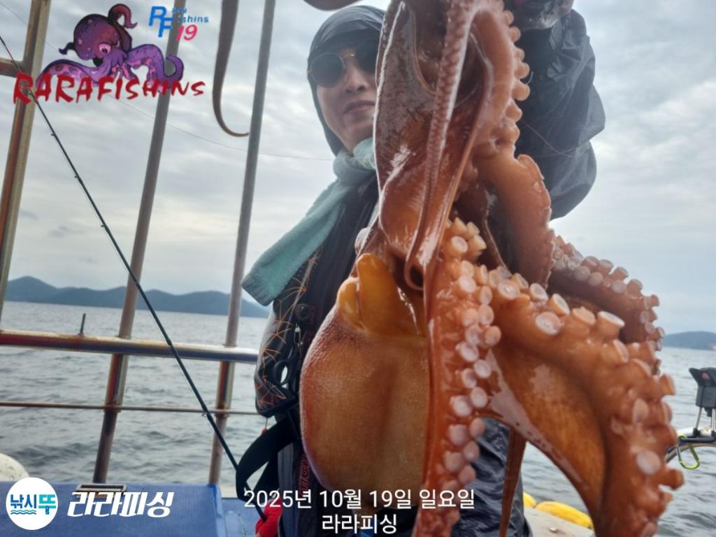 낚시뚜,돌문어,속천항(진해),라라피싱,낚시뚜16
