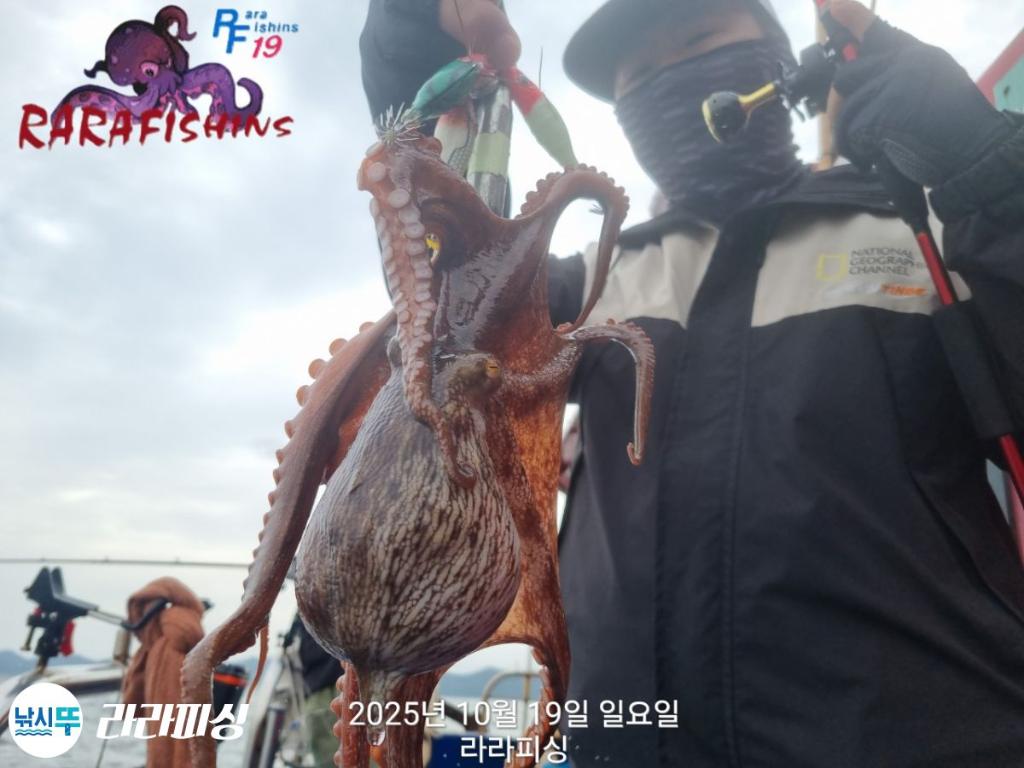 낚시뚜,돌문어,속천항(진해),라라피싱,낚시뚜14