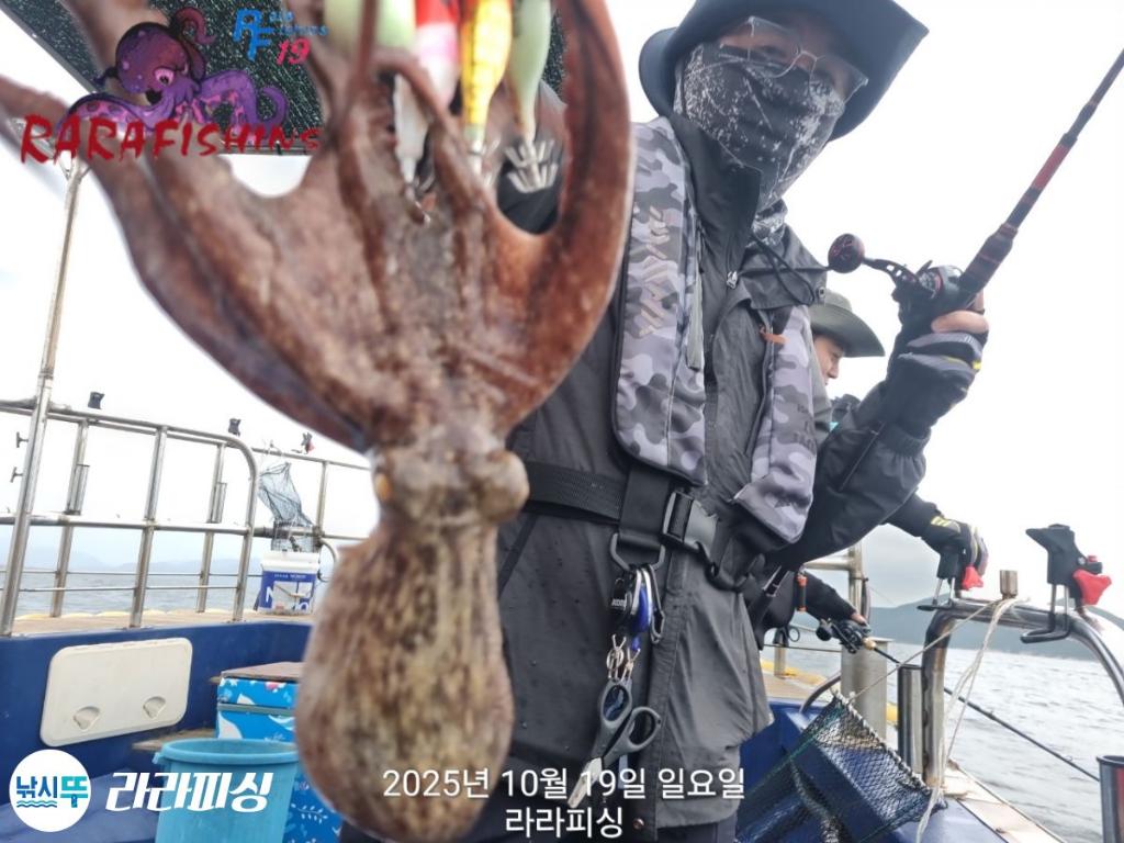 낚시뚜,돌문어,속천항(진해),라라피싱,낚시뚜12