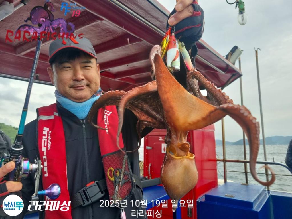 낚시뚜,돌문어,속천항(진해),라라피싱,낚시뚜10