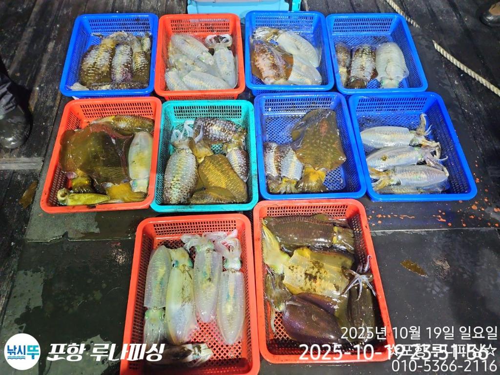 낚시뚜,장어,무늬오징어,구룡포항,포항 루나피싱,낚시뚜11