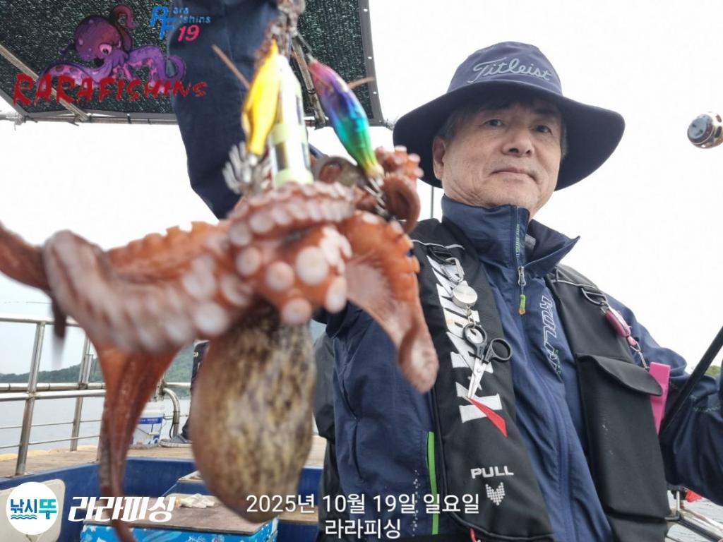 낚시뚜,돌문어,속천항(진해),라라피싱,낚시뚜16