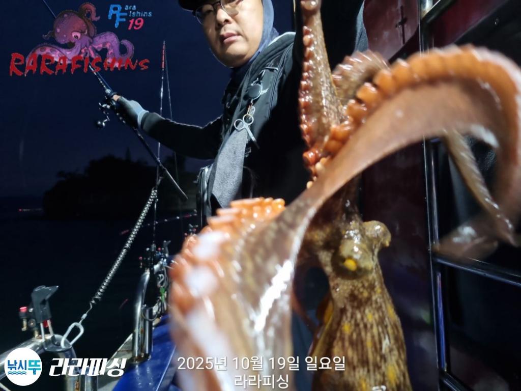 낚시뚜,돌문어,속천항(진해),라라피싱,낚시뚜11