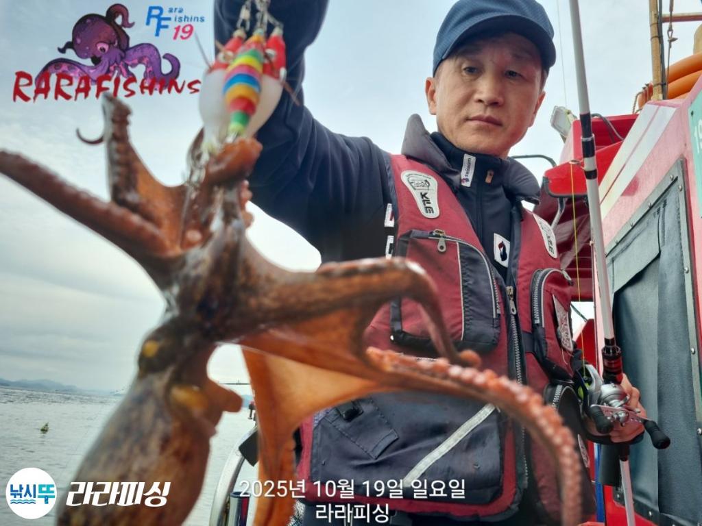 낚시뚜,돌문어,속천항(진해),라라피싱,낚시뚜9