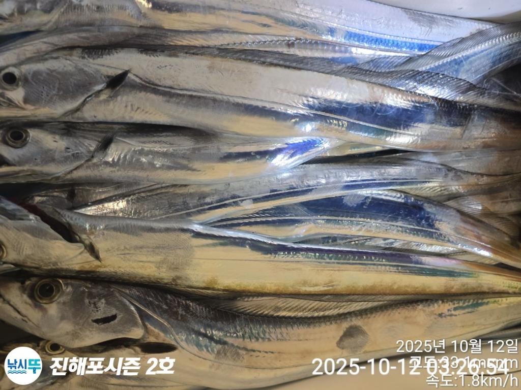 낚시뚜,갈치,진해행암항,진해포시즌 2호,낚시뚜10