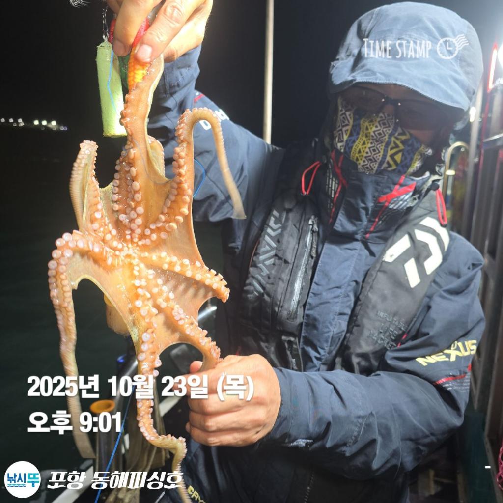 낚시뚜,돌문어,포항(운하관),포항 동해피싱호,낚시뚜7