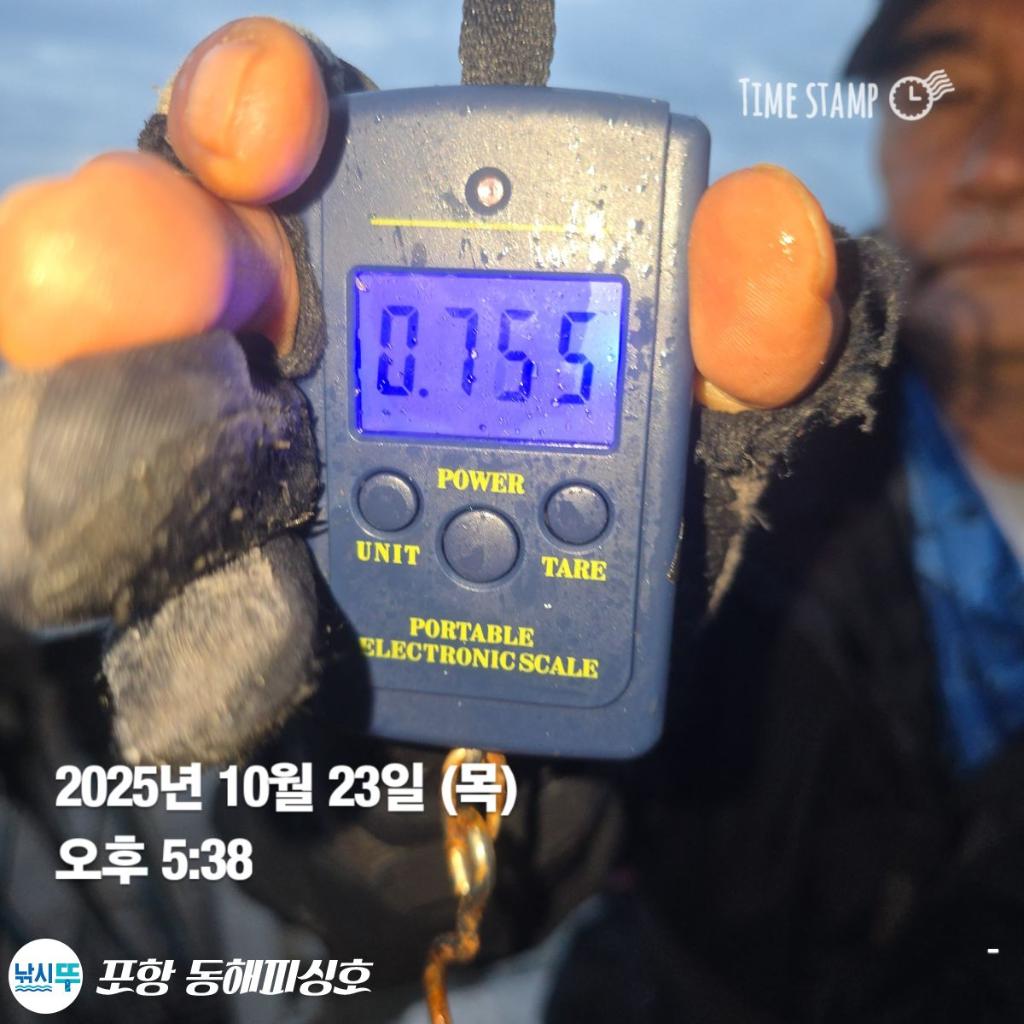 낚시뚜,돌문어,포항(운하관),포항 동해피싱호,낚시뚜4