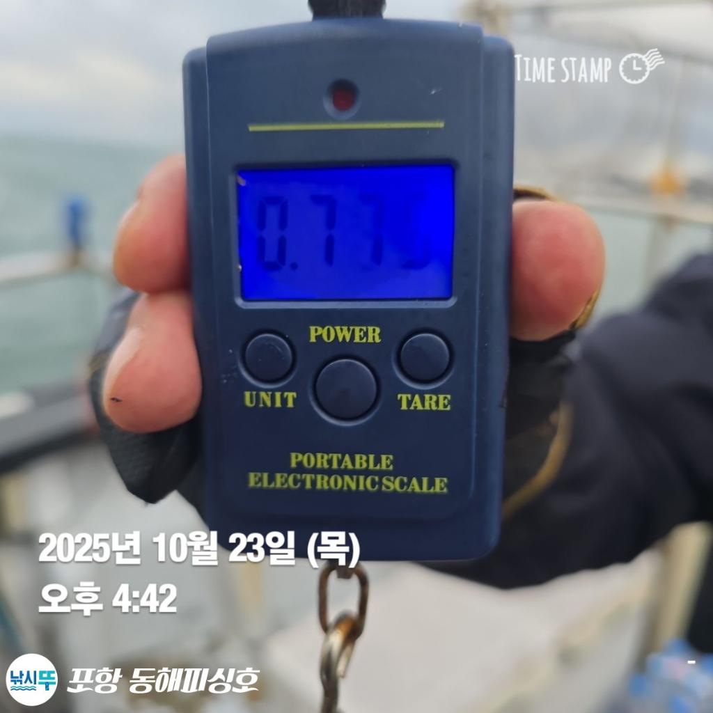 낚시뚜,돌문어,포항(운하관),포항 동해피싱호,낚시뚜1