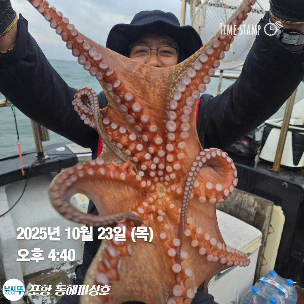 낚시뚜,돌문어,포항(운하관),포항 동해피싱호,낚시뚜0