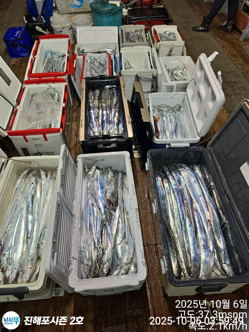 낚시뚜,갈치,진해행암항,진해포시즌 2호,낚시뚜2